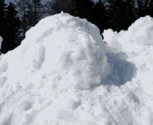 Dog Snowbank GIF - Dog Snowbank Snow GIFs