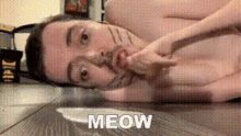 Meow Cat GIF - Meow Cat Man GIFs