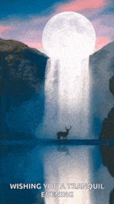 a deer is standing in front of a waterfall with the words wishing you a tranquil evening