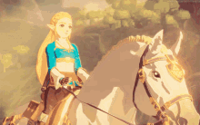 Legend Of Zelda Breath Of The Wild GIF - Legend Of Zelda Breath Of The Wild Zelda GIFs