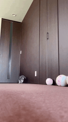 a rabbit is playing with balls on the floor in a room