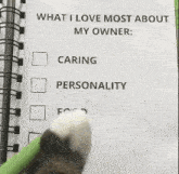 a close up of a cat looking at a green pencil .