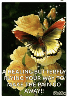 a butterfly is sitting on a flower with a caption that says a healing butterfly