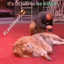 Lion King GIF - Lion King Good To Be King GIFs