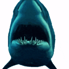 reset shark
