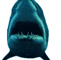 Shark Joke Sticker - Shark Joke Jokes Stickers