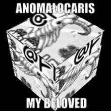 Anomalocaris My Beloved GIF - Anomalocaris My Beloved Cube GIFs