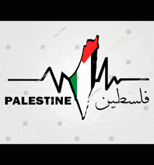 Palestina GIF - Palestina GIFs