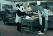 panda rude messy