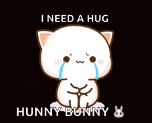 a cartoon cat crying with the words i need a hug hunny bunny
