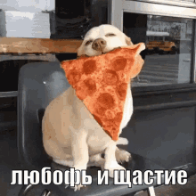 любофь счастье пица пицца собака песик еда GIF - Happyness Pizza Love GIFs