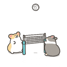 a cartoon of three corgi dogs playing volleyball with a volleyball net in the background