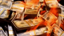 Money Burning GIF - Money Burning Fire GIFs