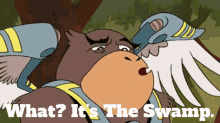World Of Quest Graer GIF - World Of Quest Graer What Its The Swamp GIFs