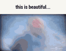 Trump Clinton GIF