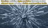 uranium emitting alpha particles through cooled ethanol vapor creates visible condensation trails