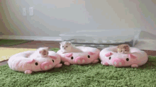 Chillaxin' GIF - Cats Kittens Chillin GIFs