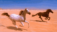 La Merveille Des Merveilles GIF - La Merveille Des Merveilles Running Horses GIFs