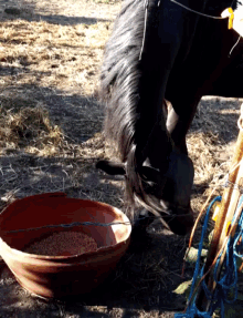 Horse Feed Me GIF - Horse Feed Me Satisfied GIFs