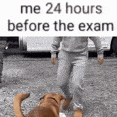 a person standing next to a dog with the words me 24 hours before the exam