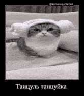 a cat wearing a towel on its head is sitting on a bed