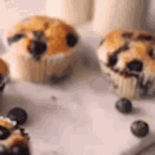 muffins blueberry