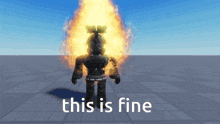 Roblox Guy Gets Lit On Fire This Is Fine Roblox GIF - Roblox Guy Gets Lit On Fire This Is Fine Roblox The Funniest Meme Ever GIFs