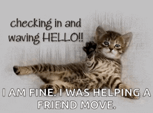 Hello Kitten GIF - Hello Kitten Waving GIFs
