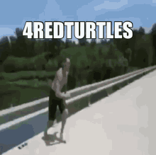 4red Turtles GIF - 4red Turtles GIFs