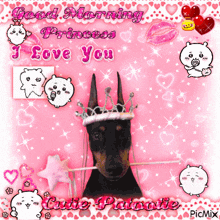 a picture of a dog wearing a crown with the words good morning princess i love you