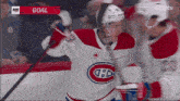 a hockey game is being played and the goal is being displayed