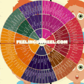 a feelings wheel with the website feelingswheel.com written on it