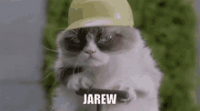 Jarew GIF - Jarew GIFs