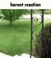 My Hornet Reaction GIF - My Hornet Reaction GIFs