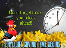 Daylight Savings Time Dst GIF