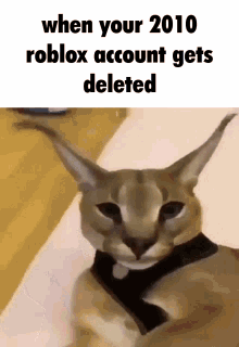 Floppa Roblox GIF