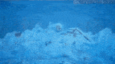 a computer generated image of an iceberg in the ocean with the caption complimentspoon