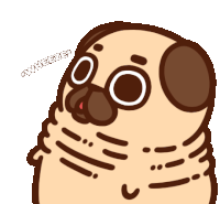 Fat Pug GIFs | Tenor