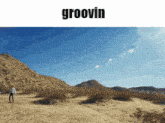 Groovy Geese GIF - Groovy Geese Country GIFs