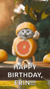 a cat is wearing a grapefruit hat and waving .