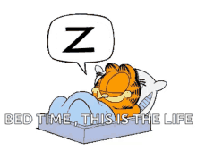 Garfield Sleeping GIF