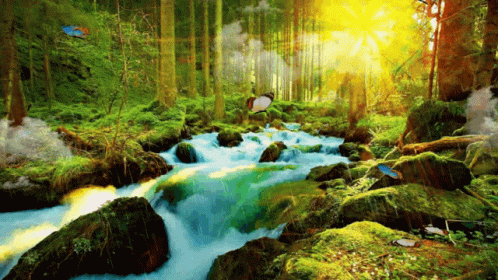 30 Beautiful Nature Animated Gifs at Best Animations