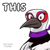 a cartoon of a bird with a scarf around its neck and the words this above it