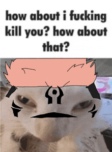 a drawing of a cat with the words how about i fucking kill you