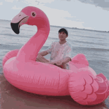 Mew Mew Suppasit GIF - Mew Mew Suppasit Flamingo GIFs