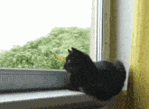Cat Black Cat GIF - Cat Black Cat Relaxing GIFs