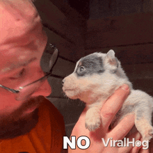 No Heeler Puppy GIF - No Heeler Puppy Viralhog GIFs