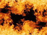 a black background with a lot of orange flames
