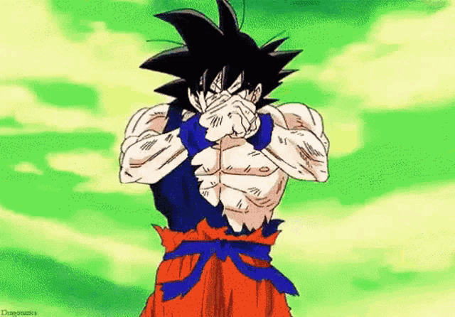 La clásica pose de pelea de Goku | Anime dragon ball super, Dragon ball  super goku, Dragon ball gt