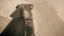 Logain Ablar Logain GIF - Logain Ablar Logain The Wheel Of Time GIFs